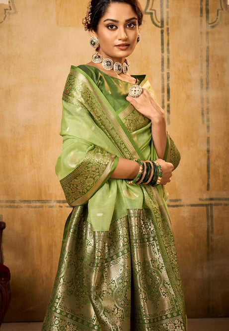 Pistachio Flame Silk Tissue Saree