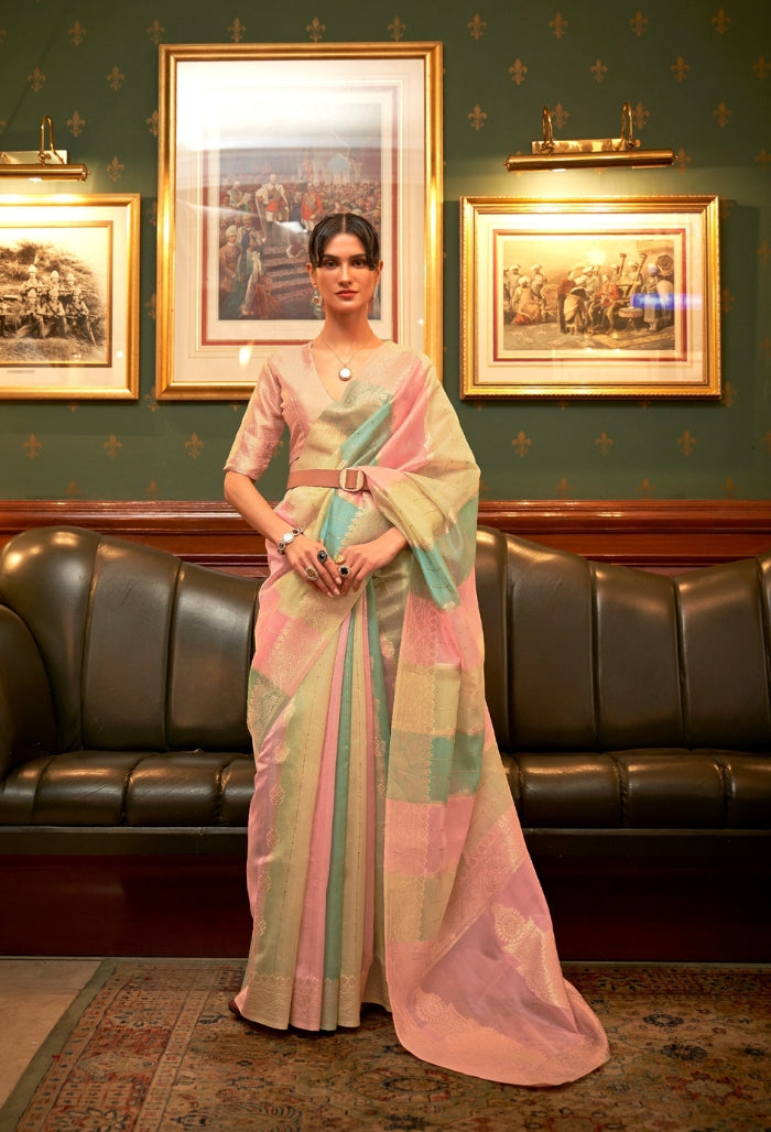 coral lagoon organaza sequins saree